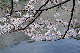 image0285