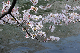 image0286
