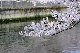 image0288