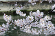 image0289