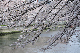 image0290
