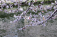 image0292
