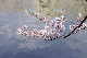 image0295