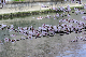 image0296
