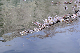 image0297