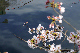 image0299