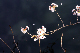 image0300