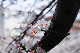 image0303