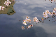 image0304