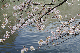 image0306