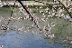 image0307