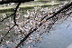 image0308