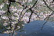 image0310
