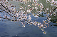 image0311
