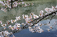 image0314