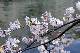 image0316