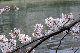 image0317