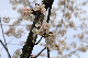 image0318