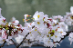image0331