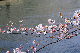 image0359