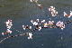 image0360