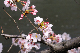 image0362