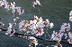 image0363