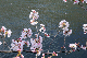 image0364