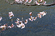 image0365
