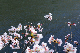 image0368