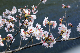 image0369