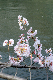 image0370