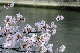 image0371