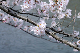 image0372