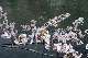 image0373