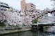 image0377