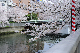 image0379