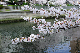 image0380