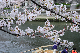 image0381