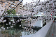image0382