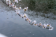 image0383