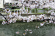 image0385