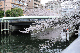 image0386