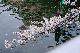 image0390