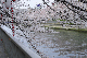 image0393