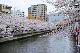 image0394