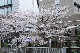 image0397