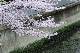 image0399