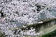 image0404