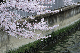 image0405